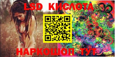 крисы Лесосибирск