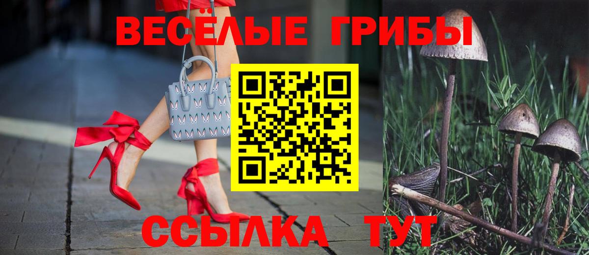 Галлюциногенные грибы мицелий  Псилоцибиновые грибы ЛСД  Вход с VPN  Гусев 