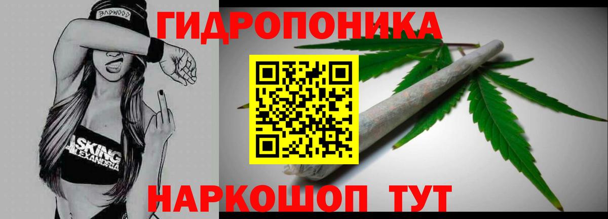 Гусев  МАРИХУАНА MAZAR  Конопля OG Kush  Канабис семена  Вход с VPN 
